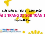 Giải bài 5 trang 31 Toán 11 tập 1 SGK Cánh Diều